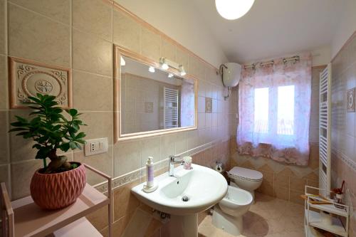 a bathroom with a sink and a toilet and a window at Domus Aromatica in Assisi
