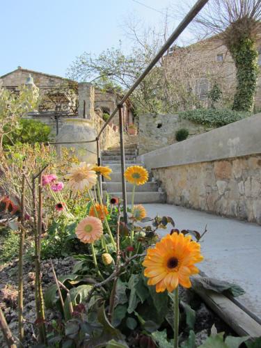 Κήπος έξω από το Les Rosées