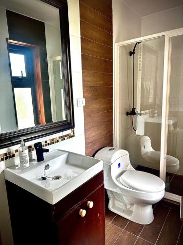 a bathroom with a white toilet and a sink at Cabañas Raíces de la Patagonia in Coihaique