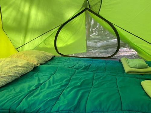 a bed inside of a green tent at Fitz Roy Comfort Camp - El Chaltén in El Chalten