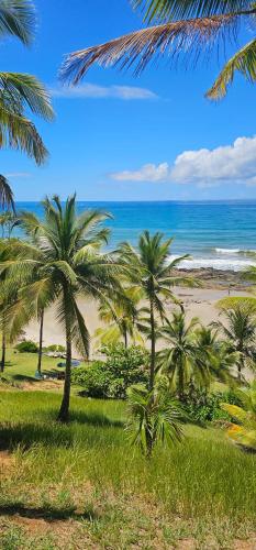 a group of palm trees on a beach with the ocean at Village as casinhas in Uruçuca