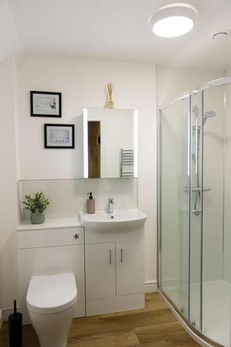 a bathroom with a toilet and a sink and a shower at Dale, Burray, Orkney - OR00597F in Burray Village