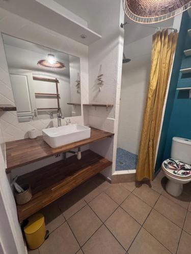 a bathroom with a sink and a toilet at Sxm Caribbean Nest in Saint Martin