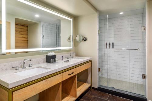 a bathroom with a sink and a shower at Renaissance Allentown Hotel in Allentown