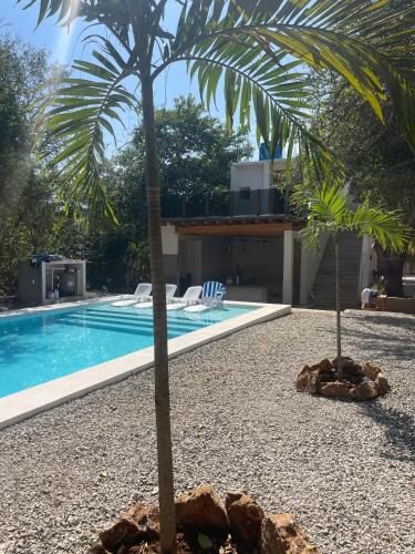 a palm tree sitting next to a swimming pool at Casa Maria Bonita in Troncones
