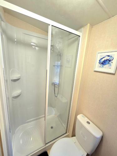 a white shower in a bathroom with a toilet at The Crab Shack in Tywardreath