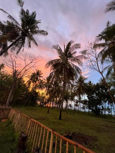 a group of palm trees in a field with a sunset at Villa Lakdu in Sorongjukung