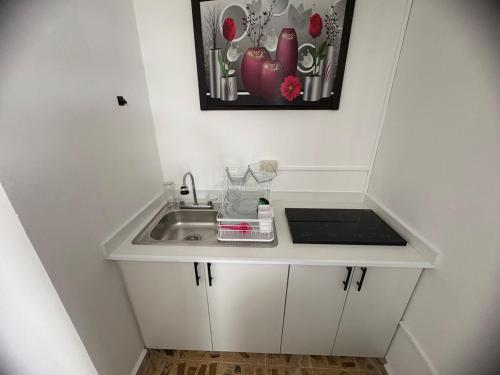 a small kitchen with a sink and a picture on the wall at Departamento Estudio C3 Centrico La Casona in Xalapa