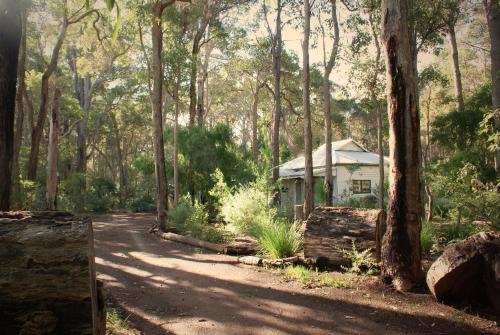 a small house in the middle of a forest at Banana Pancakes in Margaret River Town