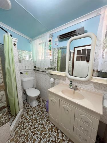 a bathroom with a sink and a toilet and a mirror at Stay @ Ray's in West Wyalong