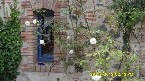 Jardín al aire libre en La Maison Des Landes