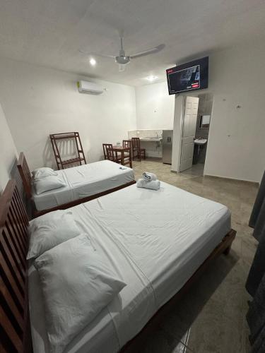 a bedroom with two beds and a television in it at Hotel AF 9 in Tizimín