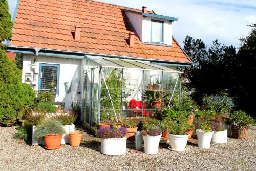 a greenhouse with potted plants in front of a house at Hotel Medio Fredericia in Fredericia