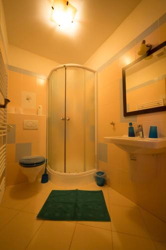 a bathroom with a shower and a toilet and a sink at Penzión Banská Klopačka in Hnilčík