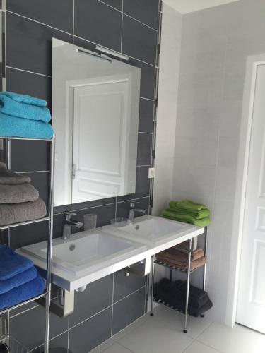 a bathroom with a sink and a mirror at Gîte de Roches Hibou in Seigy