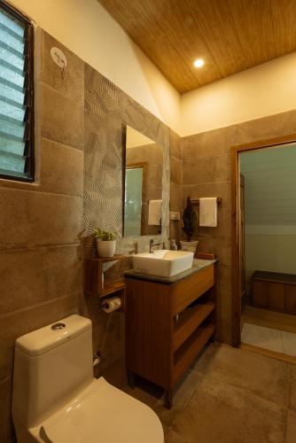 a bathroom with a toilet and a sink and a mirror at Jalvasa Villa's in Canacona