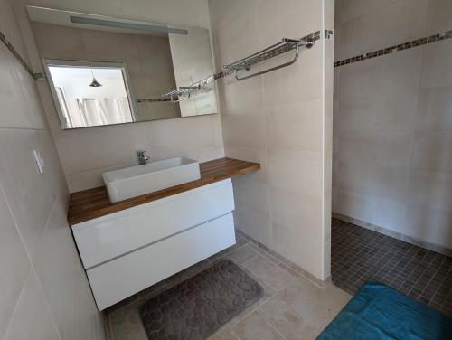 a bathroom with a sink and a mirror at domaine de marodi jasmin in Baignes-Sainte-Radegonde