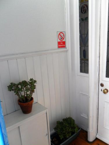 a white door with a plant on a table next to it at Dunskaith Villa in Inverness