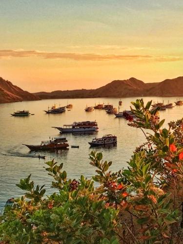 a group of boats on the water at sunset at Homestay SeAngel in Labuan Bajo