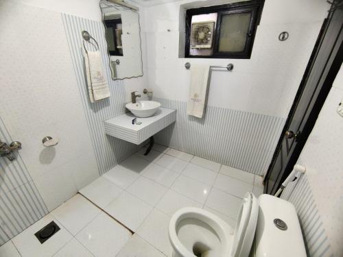 a small bathroom with a toilet and a sink at Hotel Grace Inn Multan in Multan