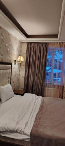 una camera da letto con un grande letto e una finestra di Anush Hotel a Jermuk