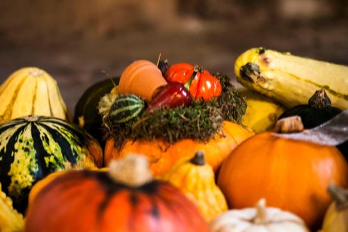 a group of pumpkins and bananas on a table at Agriturismo Villa Mocenigo in Mirano