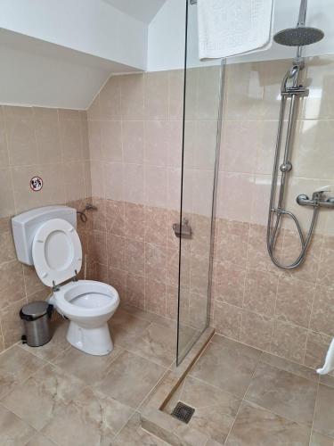 a bathroom with a toilet and a glass shower at Amore Resort in Băltenii de Sus