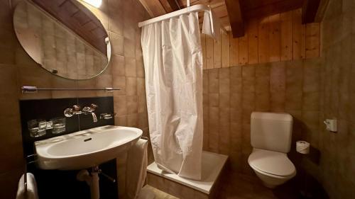 a bathroom with a sink and a toilet and a shower at Hotel du Cheval Blanc in Nods