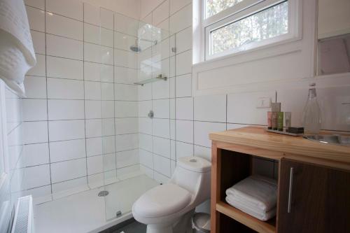 a bathroom with a shower and a toilet and a sink at Mareas Ralun Lodge in Ralún
