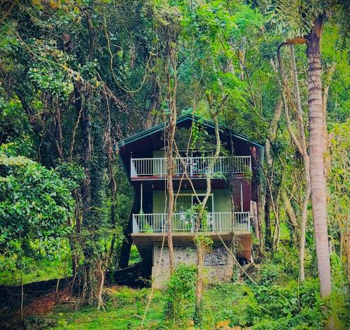 a tree house in the middle of a forest at Sandungira Eco Resort in Belihuloya