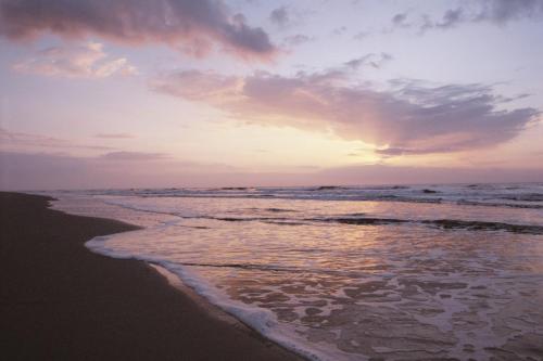 Holiday Inn Express Hilton Head Island by IHG photo 59