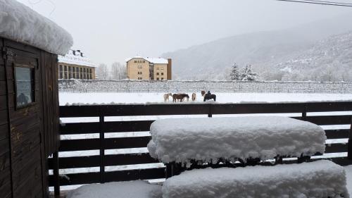 Apartament amb terrassa a Esterri by RURAL D'ÀNEU