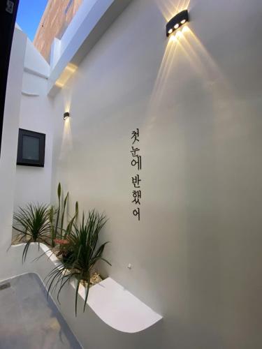 a room with plants and lights on the wall at NEMO house in Cu Lao Thu