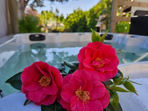 Villa 11 pers 4CH - Jacuzzi - Le Cormier