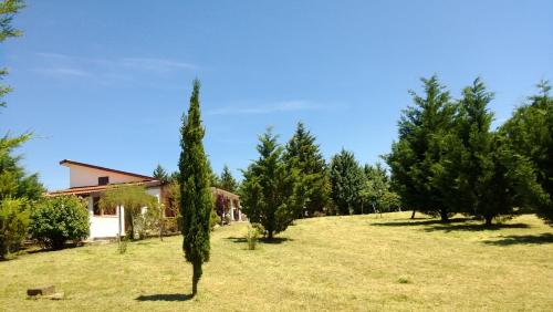 a field with trees in front of a house at Tamerici House in Montecastrilli