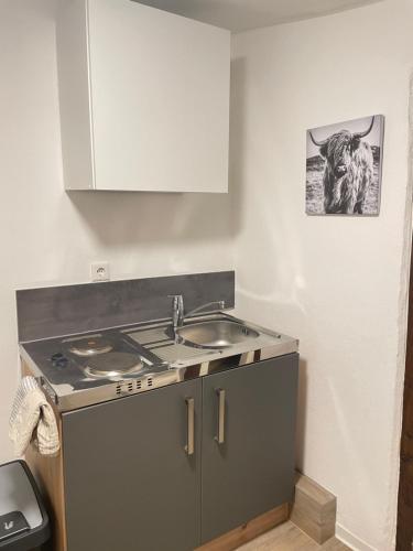 a kitchen with a sink and a cow on the wall at Fachwerk Duck Dich in Melsungen