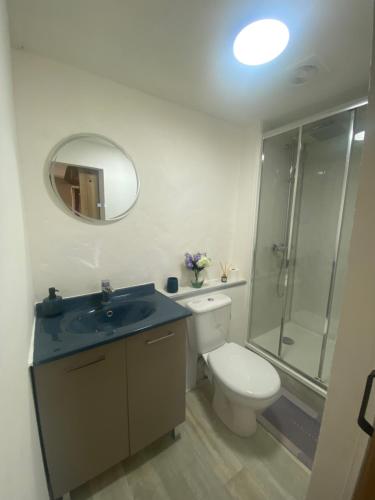 a bathroom with a toilet and a sink and a shower at Les Pipistrelles de Planechaud in Saint-Sornin-Leulac