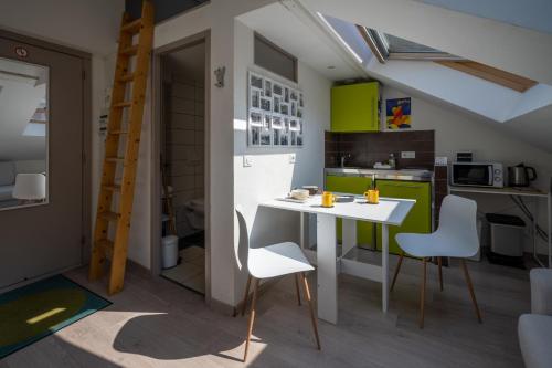 Studio sous les toits Annecy Centre-Ville