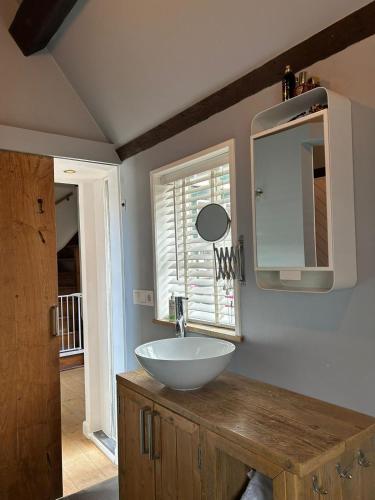 a bathroom with a bowl sink and a mirror at Urker Ussien in Urk