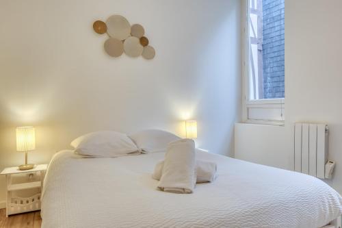 L'écureuil voyageur joli duplex centre