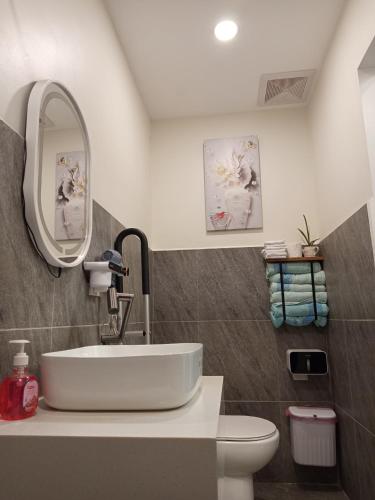 a bathroom with a sink and a mirror and a toilet at Viajeros Apartelle in Valencia