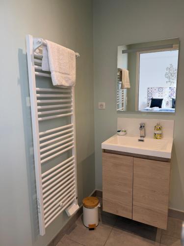 a bathroom with a sink and a mirror at La Belle Prise in Matougues