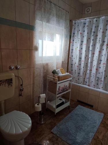 a bathroom with a toilet and a shower curtain at Apartman NADA in Krapina