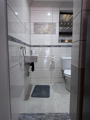a bathroom with a sink and a toilet at Shady Seringa Accommodation in Vanderbijlpark