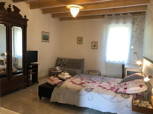 a bedroom with a bed and a tv and a window at Domaine de l'île - Gîtes et chambres d'hôtes in Castelsarrasin