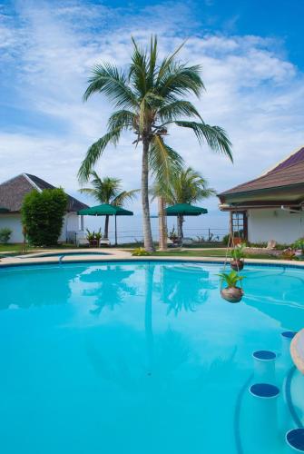 Bassein majutusasutuses Quo Vadis Dive Resort või selle lähedal