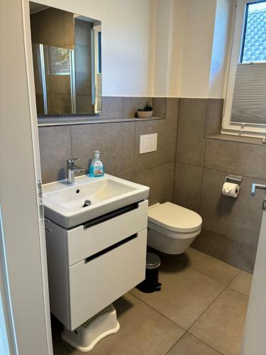 a bathroom with a sink and a toilet at Gemütliches Ferienhaus mit Sauna an der Nordsee in Sehestedt