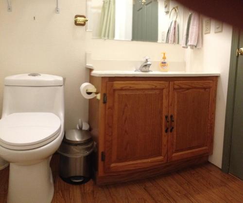 un baño con inodoro y lavabo en Mt Baker Snowline Chalet, en Glacier