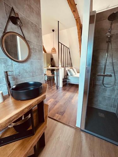 a bathroom with a sink and a shower at Les Noyers De Gaudelle in Saint-Sozy