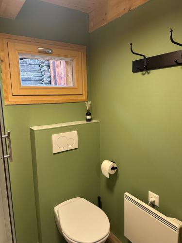 a green bathroom with a toilet and a window at Mayen unique et authentique in Vernamiège